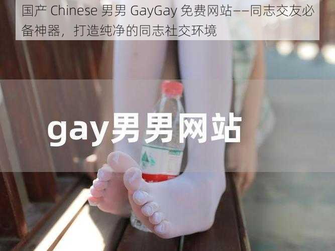 国产 Chinese 男男 GayGay 免费网站——同志交友必备神器，打造纯净的同志社交环境