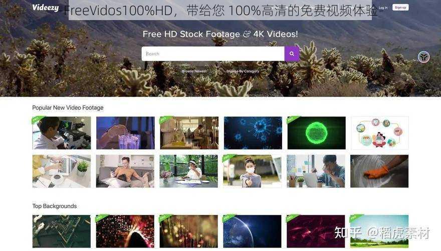 -FreeVidos100%HD，带给您 100%高清的免费视频体验-