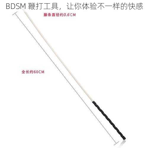 BDSM 鞭打工具，让你体验不一样的快感